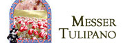 vai a Messer Tulipano